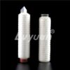 DOE PP PTFE PVDF Pleated Cartridge Nitrogen Gas Filter