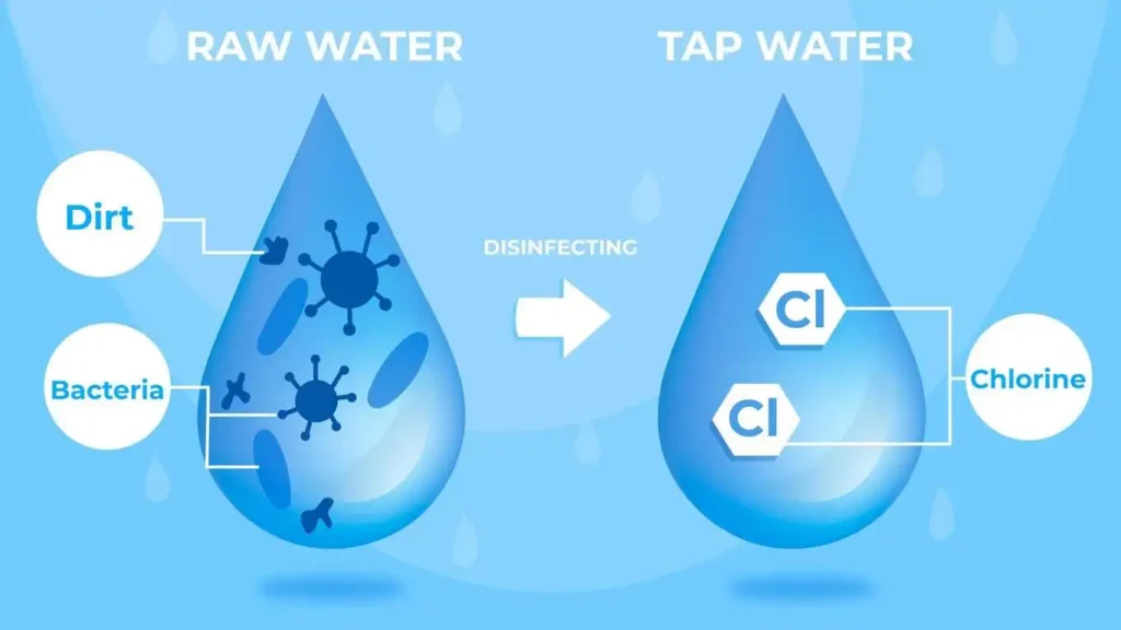 Effective Removal of Chlorine and Chloramines: Key Strategies for Optimizing Water Treatment and Cost Analysis 1 Effective Removal of Chlorine and Chloramines
