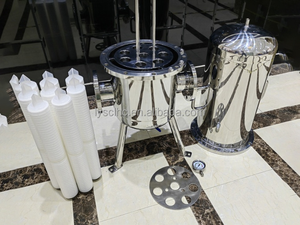 Fouled Filter Housing Internals Correctly