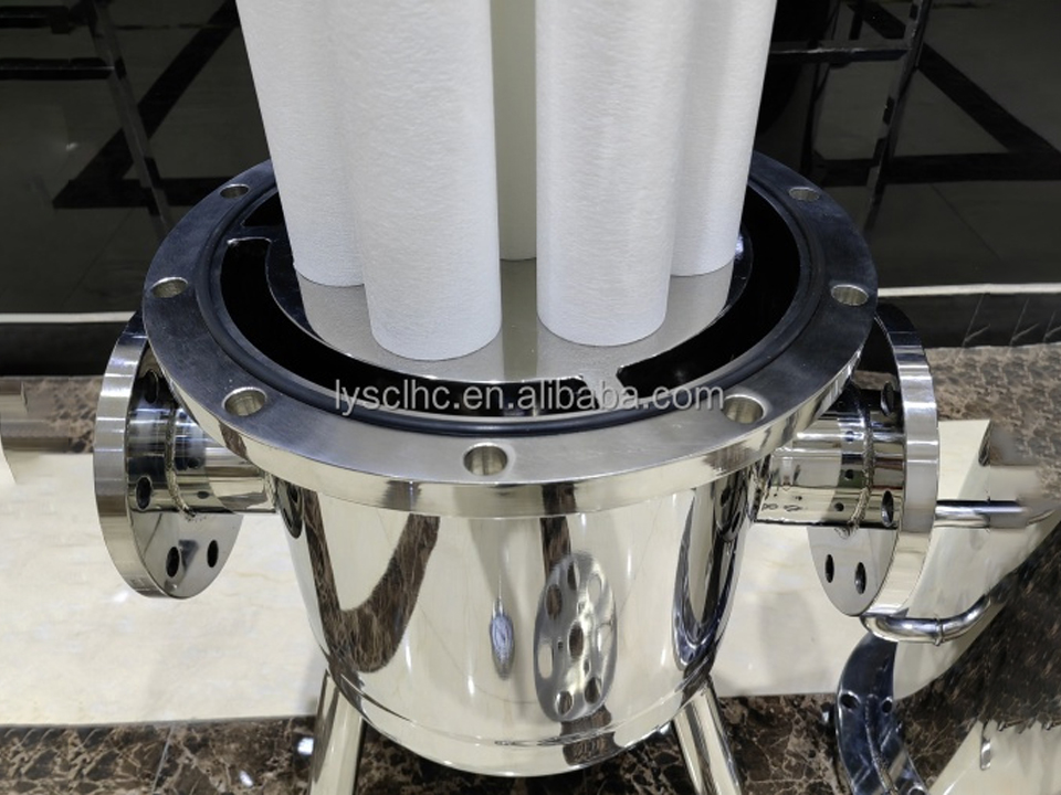 Fouled Filter Housing Internals Correctly