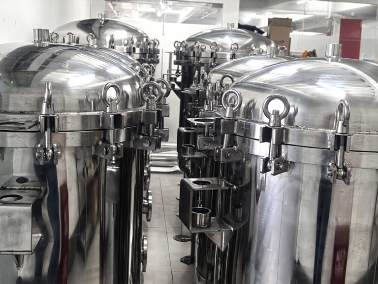 Filter Housing Setup for Brewery Final Product Filtration Lines