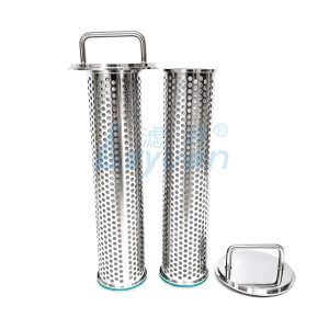 Sanitary Stainless Steel Duplex Filter Housing System 3 Duplex Filter Housing (2)