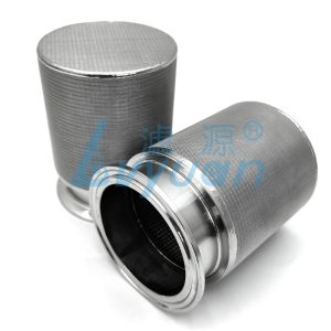 Tri-clamp sintered wire mesh filter element (2)