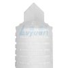 10 Inch Pleated Filter Cartridge (2) 10 Inch Pleated Filter Cartridge (2)