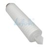 10 Inch Pleated Filter Cartridge (6) 10 Inch Pleated Filter Cartridge (6)