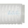 10 Inch Pleated Sediment Cartridge (1) 10 Inch Pleated Sediment Cartridge (1)