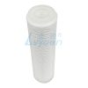 10 Inch Pleated Sediment Cartridge (2) 10 Inch Pleated Sediment Cartridge (2)