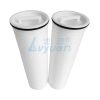 20 Inch High Flow Filter Cartridge 8 20 Inch High Flow Filter Cartridge