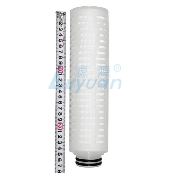 Polyester Pleated Filter Cartridge (1) Polyester Pleated Filter Cartridge (1)
