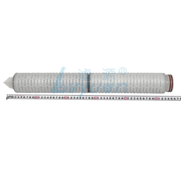 Replaceable Pleated Filter Cartridge (2) Replaceable Pleated Filter Cartridge for Process Equipment