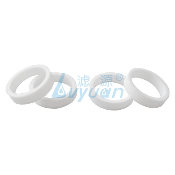 Sintered Porous PE Ring Filter (3) Sintered Porous PE Ring Filter